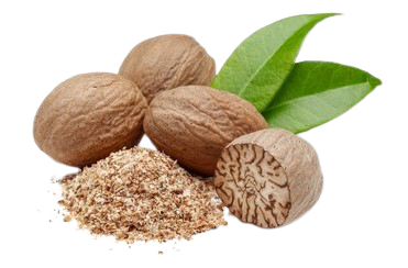 Nutmeg | export Sri Lanka | Best spices | ceylon cinnamon